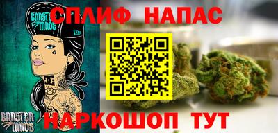 гидра Новодвинск