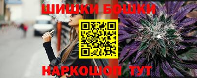 гидра Новодвинск