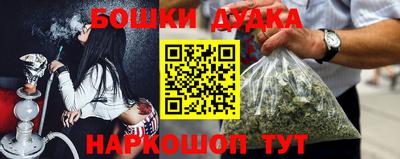 гидра Новодвинск