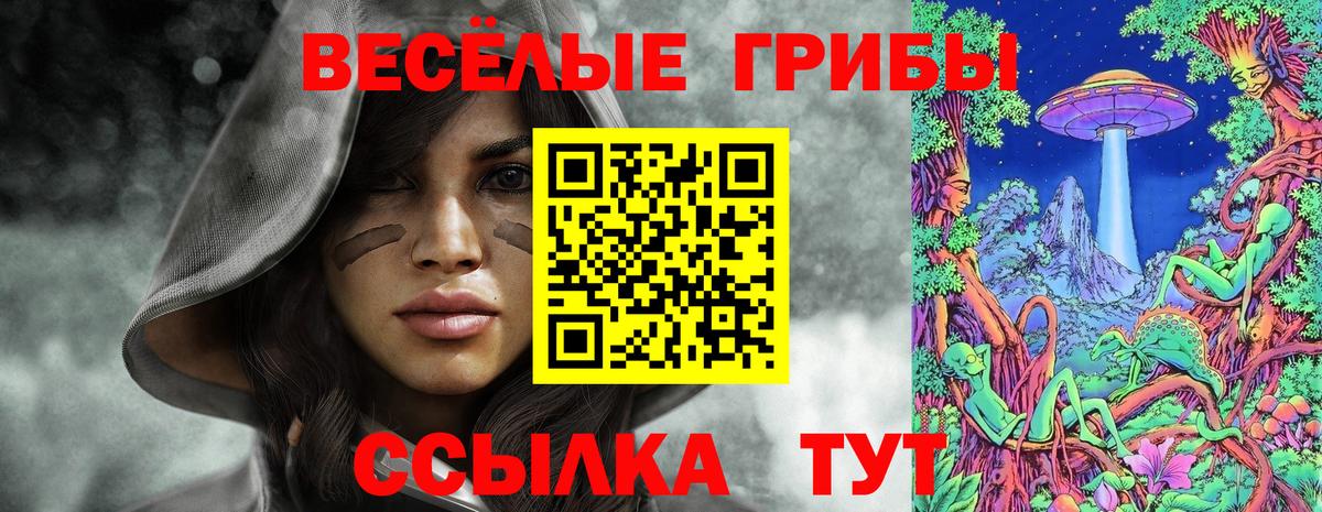 Псилоцибиновые грибы MAGIC MUSHROOMS Севастополь